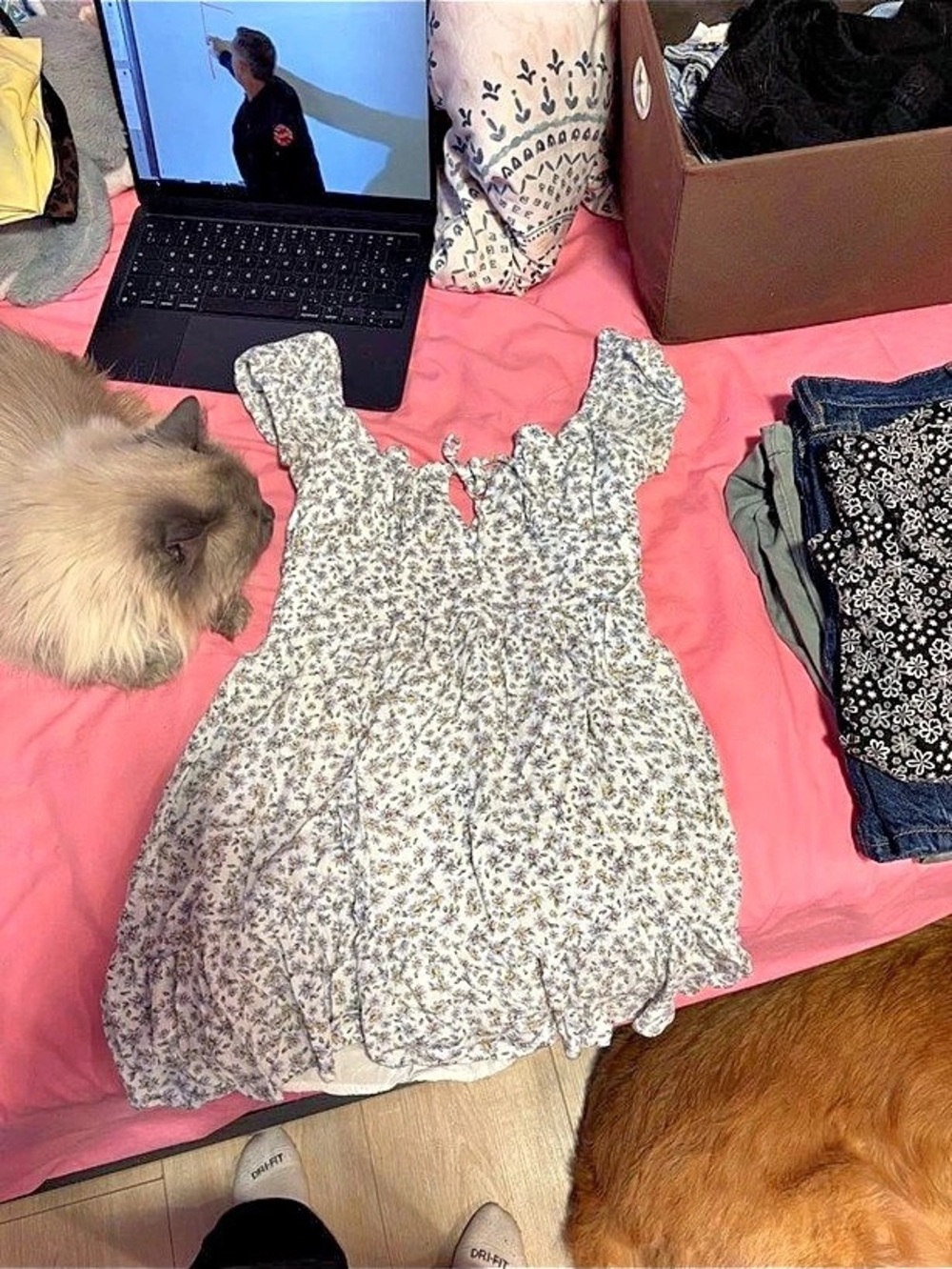 Floral Print Casual Dress